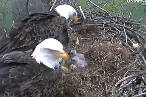 ScreenHunter_19 Mar. 31 11.33.jpg